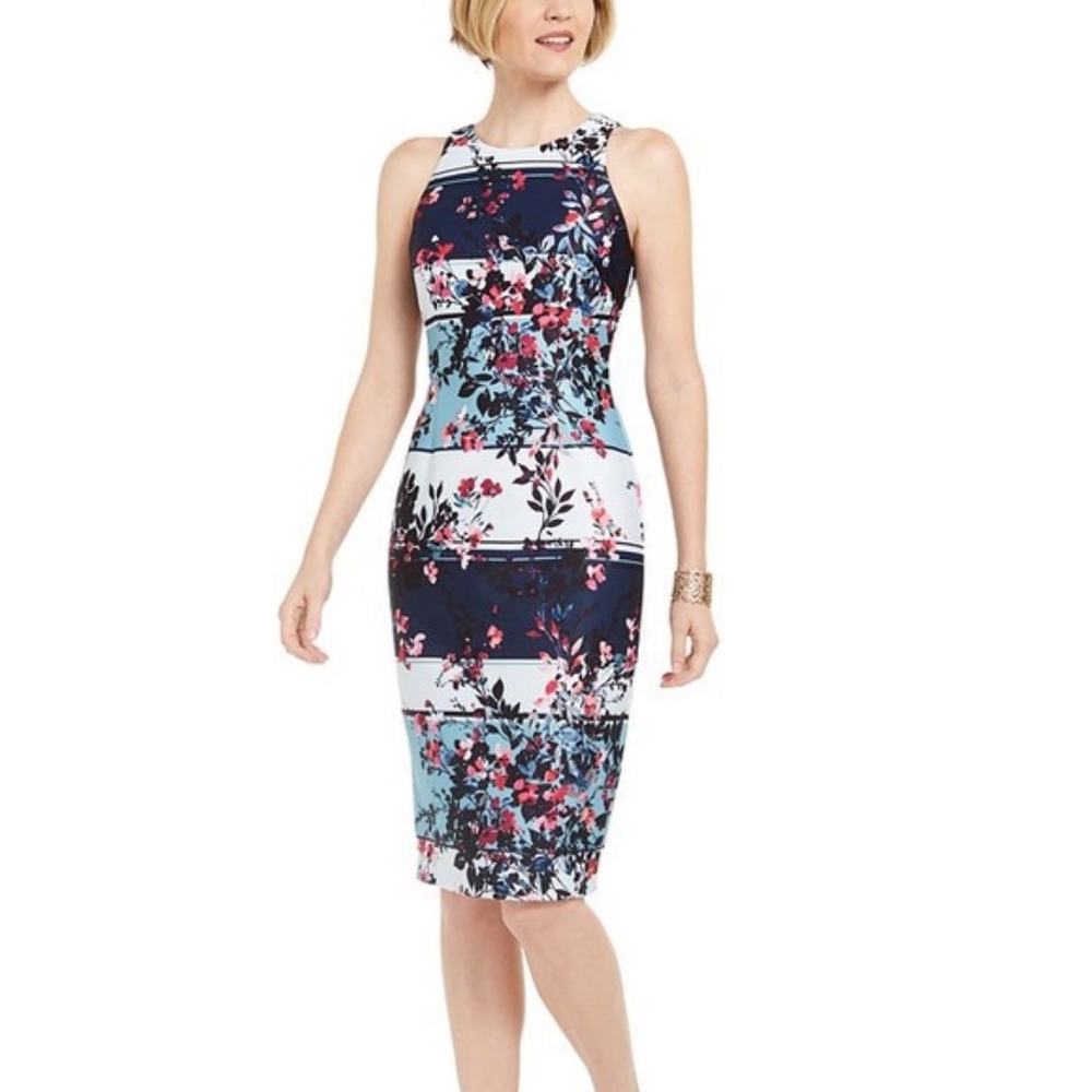 NWT Adrianna Papell Wildflower Striped Sheath Dress